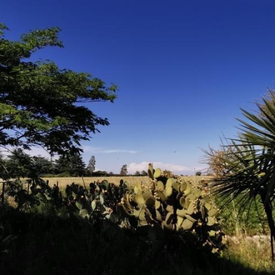  AZ FONCIER : House | NIMES (30000) | 86 m2 | 238 500 € 