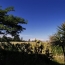  AZ FONCIER : House | NIMES (30000) | 86 m2 | 238 500 € 