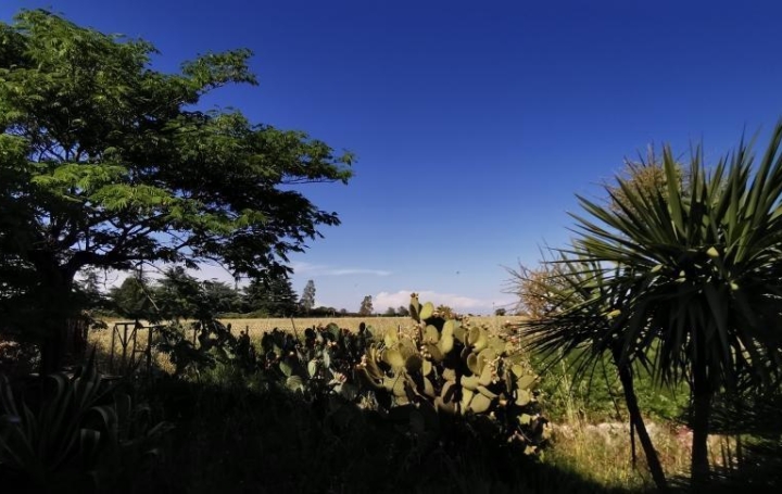 AZ FONCIER : House | NIMES (30000) | 86 m2 | 238 500 € 
