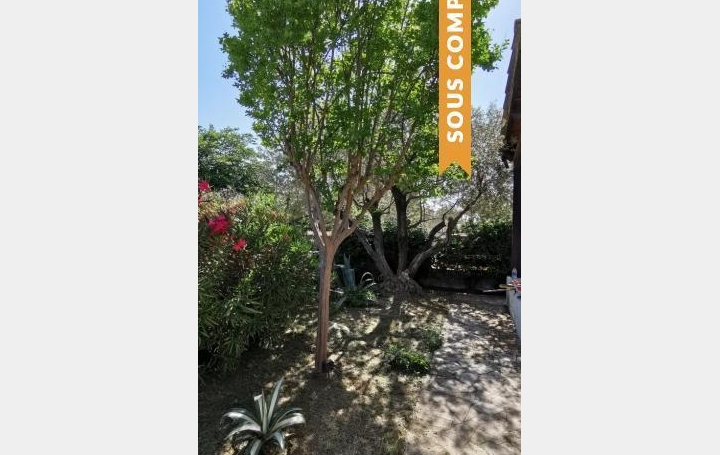 AZ FONCIER : House | NIMES (30000) | 86 m2 | 238 500 € 